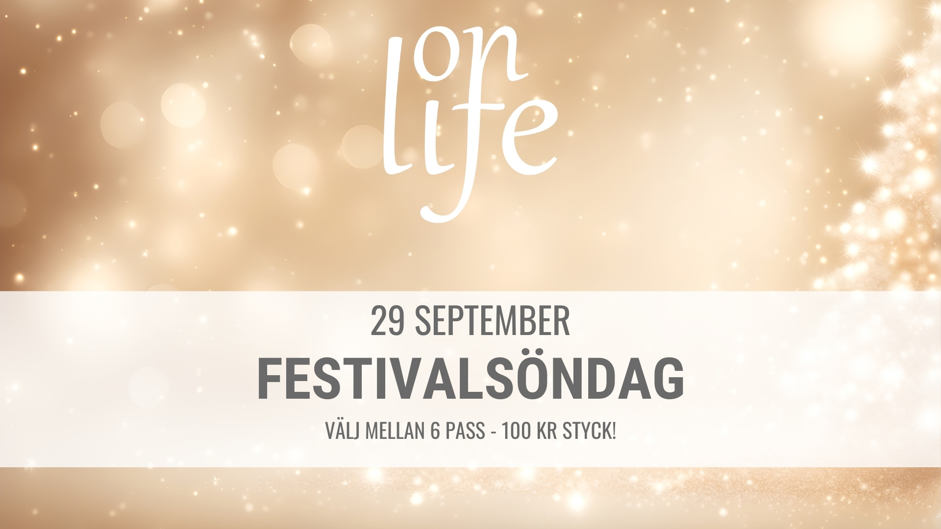 Festivalsöndag